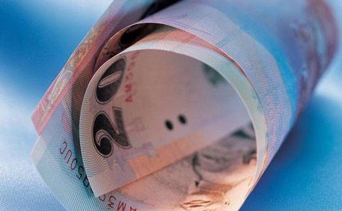 歐元與油價(jià)同步上漲 加劇歐洲央行鷹鴿陣營分化，自有資金對外投資前景幾何？