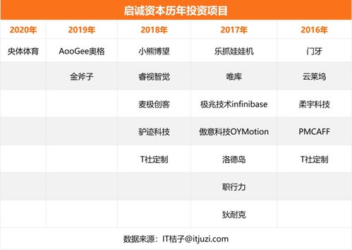自有資金對外投資 策略、優(yōu)勢與風(fēng)險(xiǎn)管控